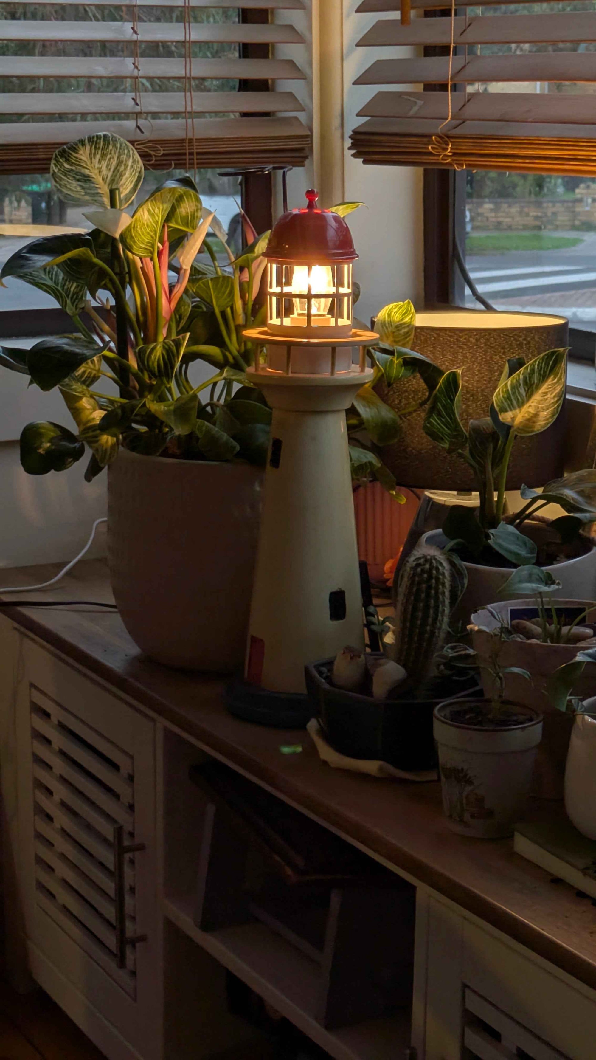 Mystery Box - Surprise Fashion & Homewares Thrift Haul