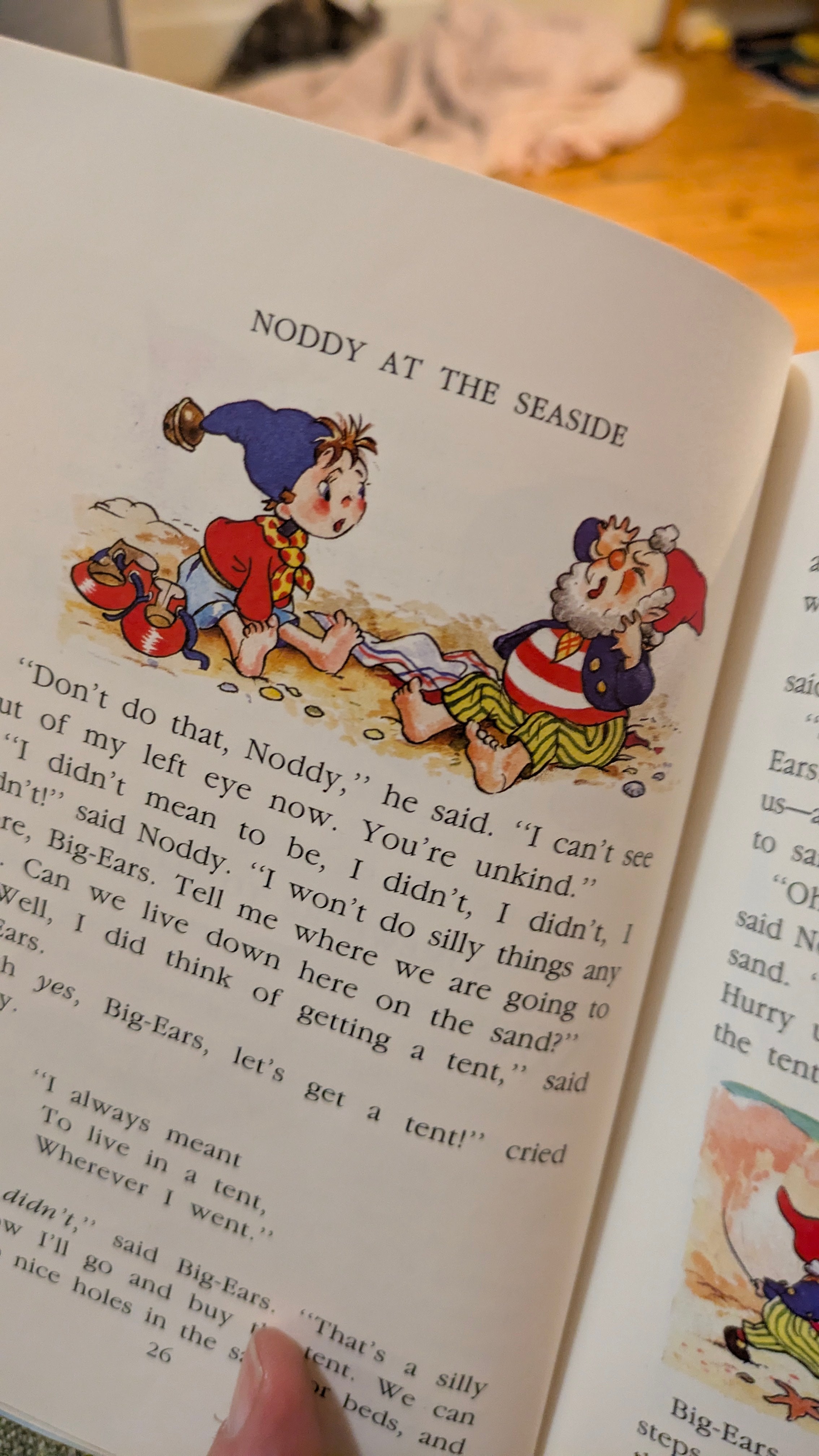 Mystery Box - Surprise Fashion & Homewares Thrift Haul